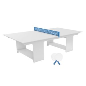PING PONG